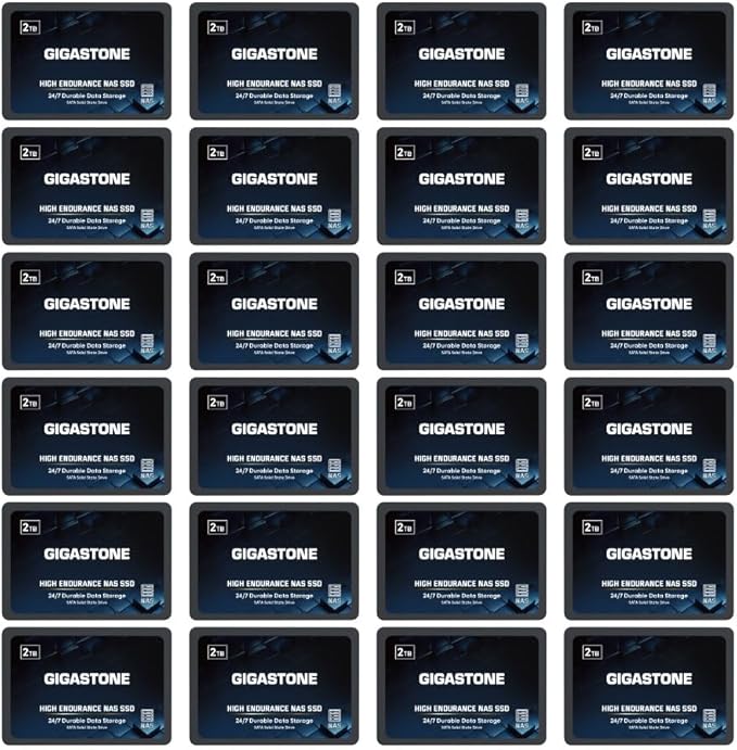 Gigastone 【NAS Certified】 2TB High Endurance SSD (24-Pack) for Gaming/PC/Laptop/NAS SSD TLC 24/7 Reliable 2.5" SATA Internal Solid State Drives RAID Data Storage 2.5 inches SATA 3.0