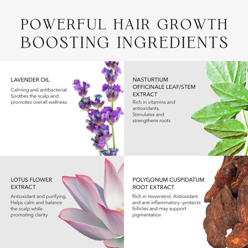 KIWABI ROOT BEAUTÉ Scalp Conditioner – Hair Growth & Scalp Treatment for Thinning, Dry & Oily Scalp – Sulfate-Free Hair Conditioner for Women with 23 Botanicals for Lustrous & Healthy Hair