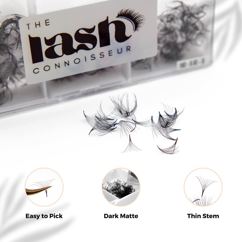 5D - D Curl 750 Fans Mixed Promade Fans Lash Extensions | TLC Lash Supplies 4D to 16D Premade Fans 7 mm to 16 mm Mixed Length Thin Base Premade Fans Eyelash Extensions (5D - D Curl, 7-8-9 mm)