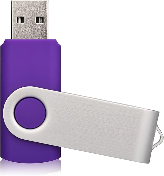 KALSAN 10 Pack 8GB USB Flah Drive USB 2.0 Pen Drive-Purple