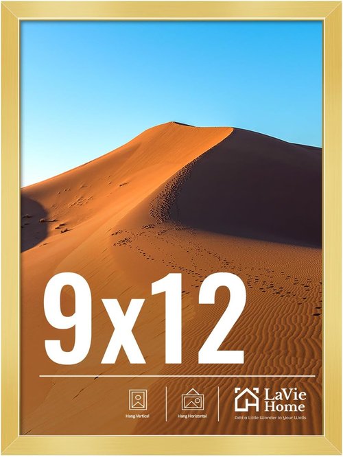 LaVie Home 9x12 Gold Picture Frame - HD Plexiglass Wall Display for Vertical or Horizontal Use