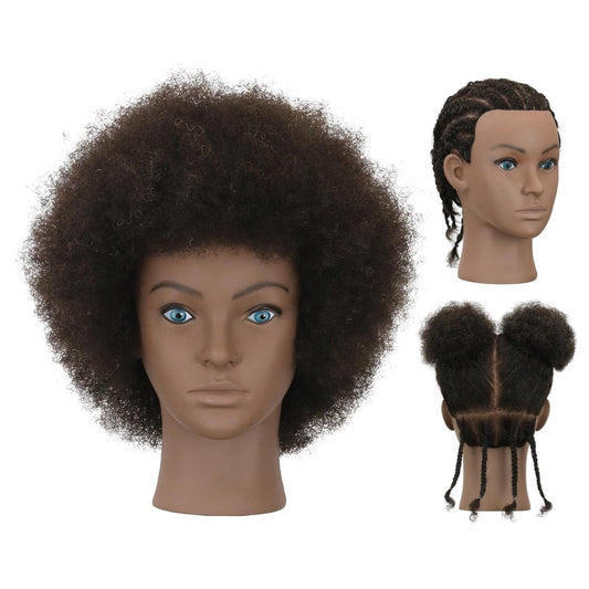 Sirydtm Afro Kinky Curly Mannequin Head - 100% Human Hair for Braiding, Styling & Cutting - Salon Training Head with Stand for Coloring, Bleaching & Updos