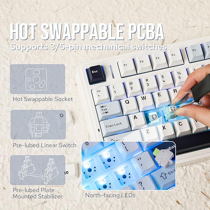 EPOMAKER x Aula F75 Gasket Mechanical Keyboard, 75% Wireless Hot Swappable Gaming Keyboard with Five-Layer Padding&Knob, BT/2.4GHz/USB-C, RGB (Light Blue, LEOBOG Reaper Switch)