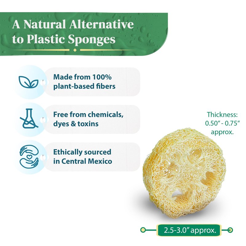 Natural Loofah Slices for Soap Making (20 Pack) - Organic Loufa Cuts - Bulk Luffa - Soap Making Supplies