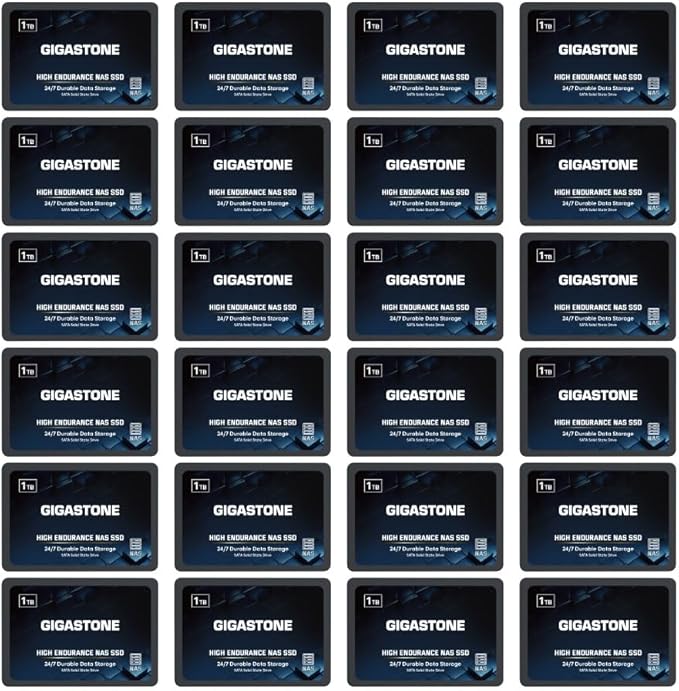 Gigastone 【NAS Certified】 1TB High Endurance SSD (24-Pack) for Gaming/PC/Laptop/NAS SSD TLC 24/7 Reliable 2.5" SATA Internal Solid State Drives RAID Data Storage 2.5 inches SATA 3.0