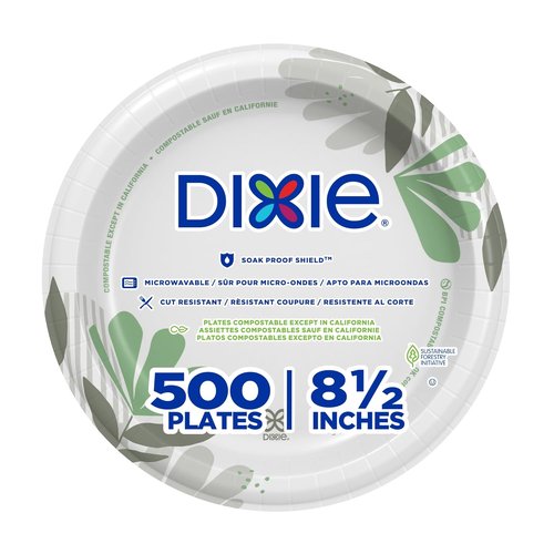 Dixie 8.5 Inch Medium-Weight Paper Plates - Pathways Design, 500 Count | Durable & Disposable