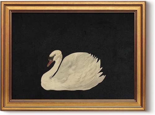 HUARCEY Gold Framed Vintage Swan Wall Art - Rustic Canvas Decor for Living Room & Bathroom (12"x16")