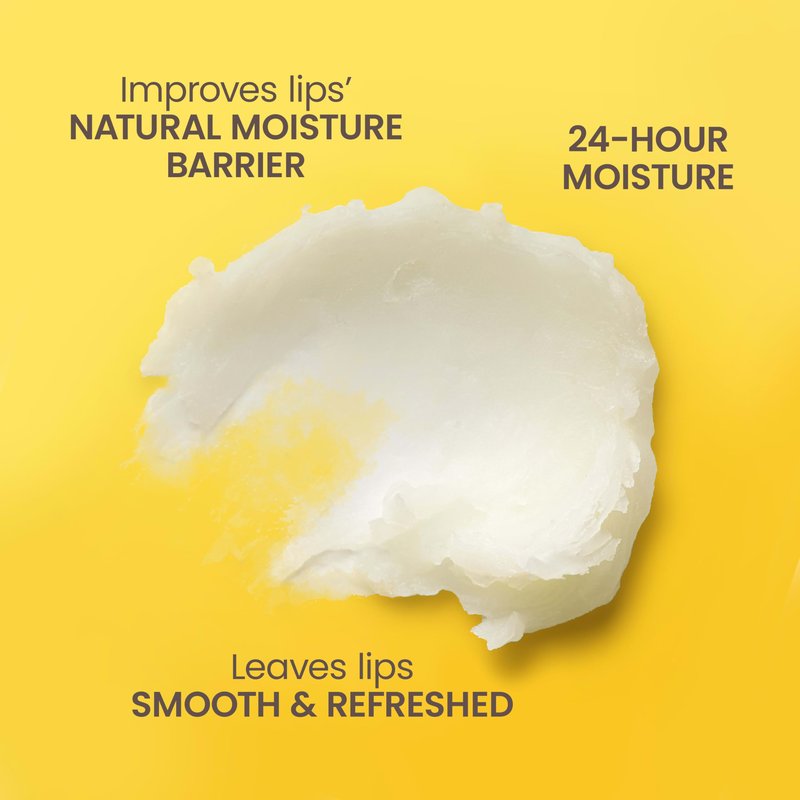 Burt's Bees You're the Balm Lip Balm Pack, With Beeswax, Wild Cherry, Watermelon and Vanilla Bean Flavors, With Responsibly Sourced Beeswax, Tint-Free, Natural Origin Lip Treatment, 4 Tubes, 0.15 oz.