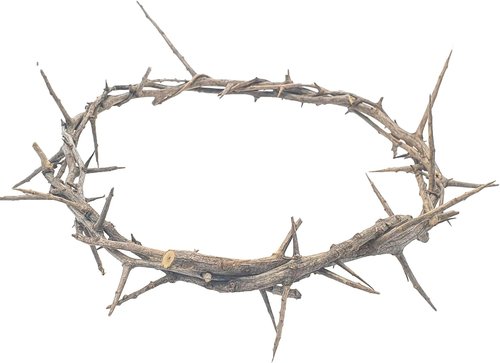 Jerusalem Authentic Biblical Crown of Thorns - Lifesize with Box & Zuluf Certificate | Religious Easter Décor & Christmas Wall Art