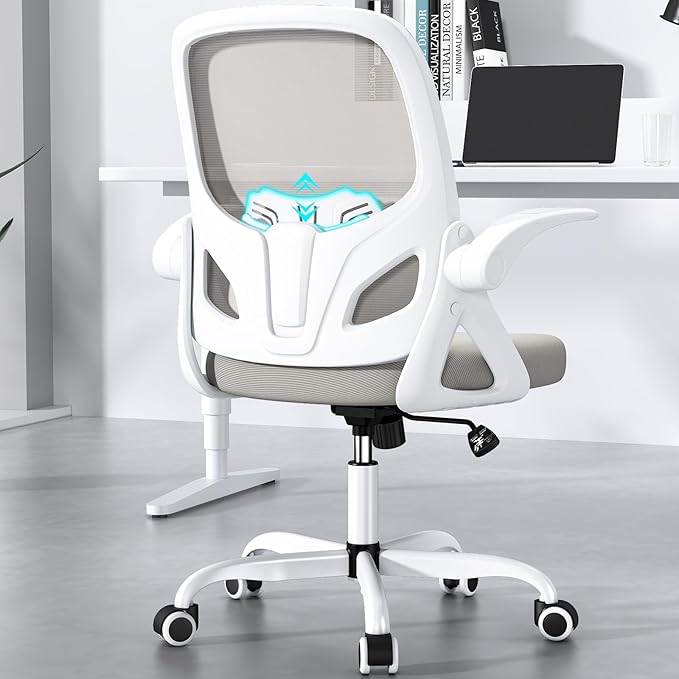 Kensaker Home Desk Chair with Back Supportive Lumbar Support, Breathable Double Mesh Cushion Home Desk Office Chair with Flip up Arms, Modern Ergonomic Home Office Chair for Work(Gray)