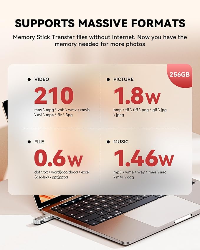 BLANBOK+ MFi Certified 256GB Flash Drive for iPhone Photo Stick, USB Thumb Drive Memory Stick High Speed USB Drive Photo Storage for iPhone USB Stick Compatible for iPhone/iPad/Android/PC, BLA232
