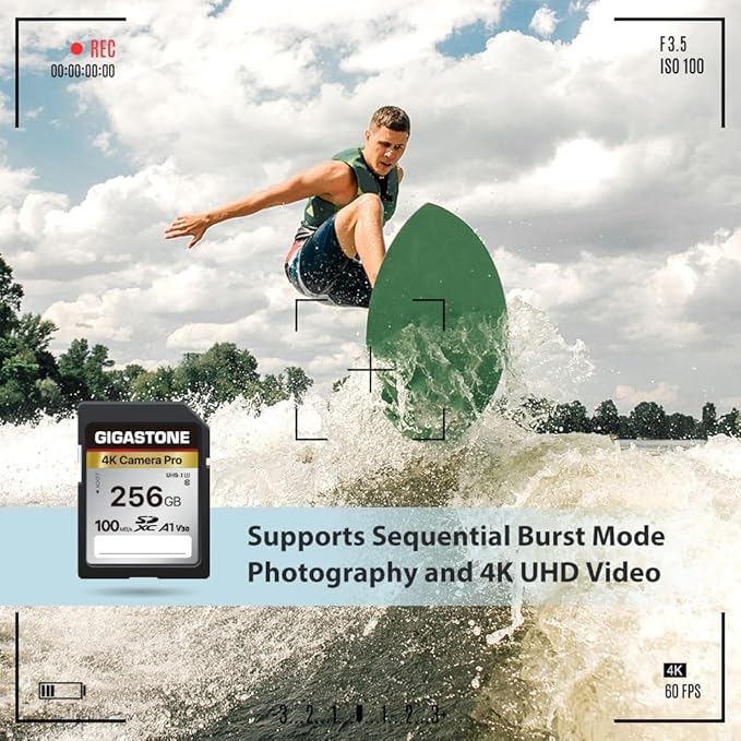 【5-Years Data Recovery】 GIGASTONE 256GB SD Card with USB Type C Card Reader, 4K Camera Pro, UHS-I A1 V30 U3 SDXC Memory Card Compatible with Digital Camera, with 1 mini case