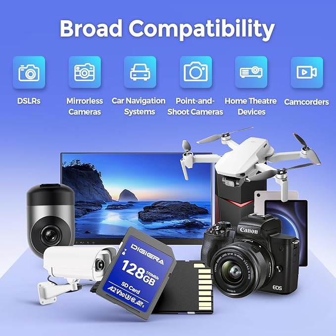 DIGIERA 128GB LS100 SDXC UHS-I Memory Card - up to 170MB/s, C10, U3, V30, 4K UHD, SD Card for Computers, Digital Cameras, Home Theatre Devices, Car Navigation Systems (1 Pack)