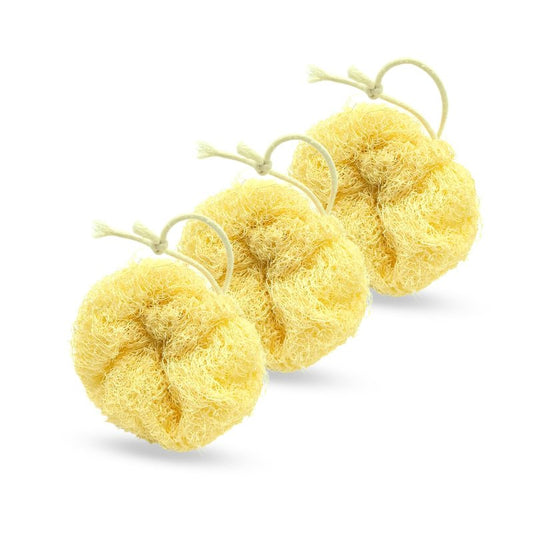 PlesQui Natural Loofah Body Scrubber 3-Pack, Plant-Based Exfoliating Shower Sponge Luffa for Men & Women, Eco-Friendly & Dye-Free, Fits All Hand Sizes[Must SOAK to Soften]