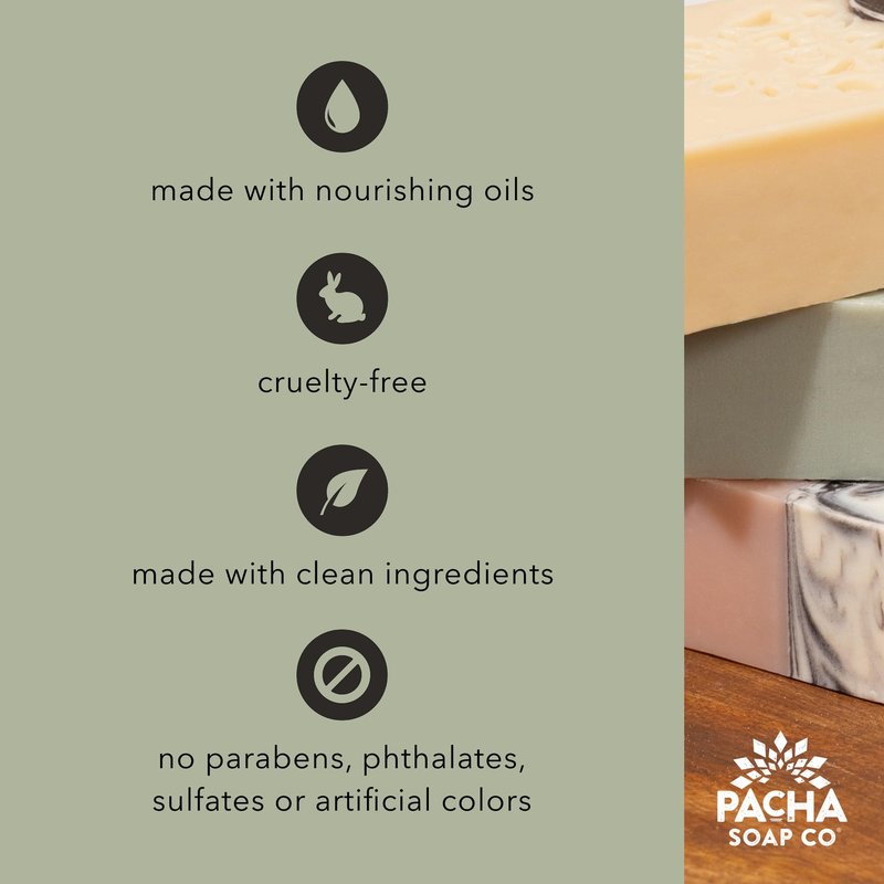 Pacha Soap Co. Liquid Hand Soap Refill - Santal & Amber, Hydrating & Moisturizing Formula with Clean Ingredients, Paraben, sulfate, and Dye Free, Made in the USA, 2-Pack (32 fl oz Each)