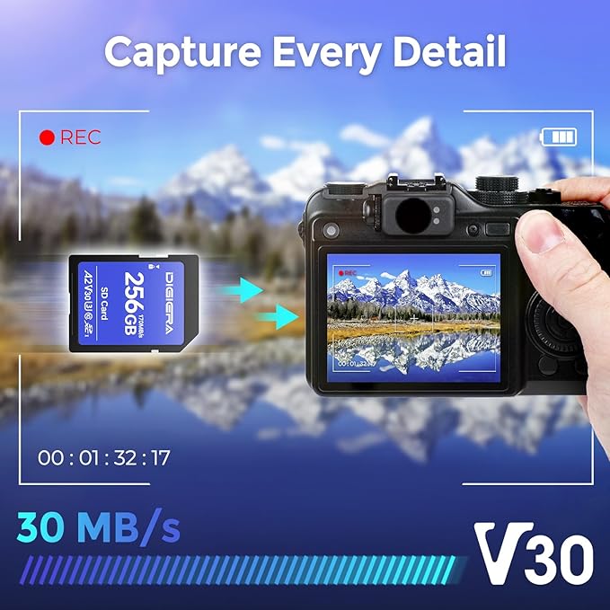 DIGIERA 256GB LS100 SDXC UHS-I Memory Card - up to 170MB/s, C10, U3, V30, 4K UHD, SD Card for Computers, Digital Cameras, Home Theatre Devices, Car Navigation Systems (1 Pack)