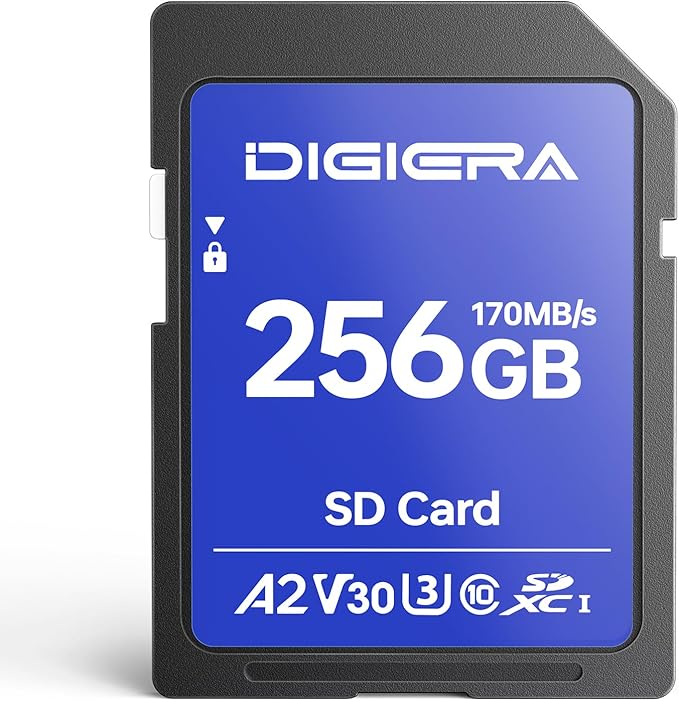 DIGIERA 256GB LS100 SDXC UHS-I Memory Card - up to 170MB/s, C10, U3, V30, 4K UHD, SD Card for Computers, Digital Cameras, Home Theatre Devices, Car Navigation Systems (1 Pack)