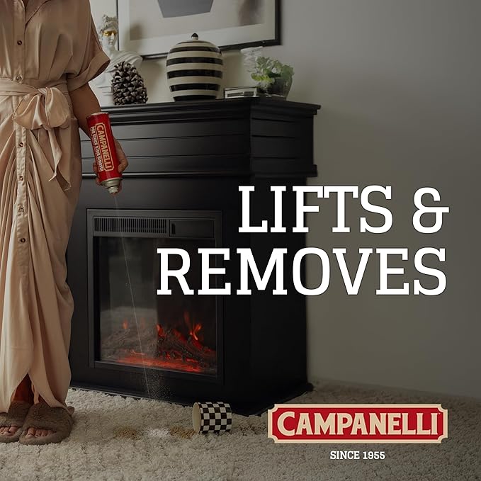 Campanelli Pro Series Stain Remover Point & Spray Carpet & Upholstery Cleaner for Pet Stains & Odors, Food Stains, Wine, Coffee, Dirt and More! â 2 Pack (18oz Each)