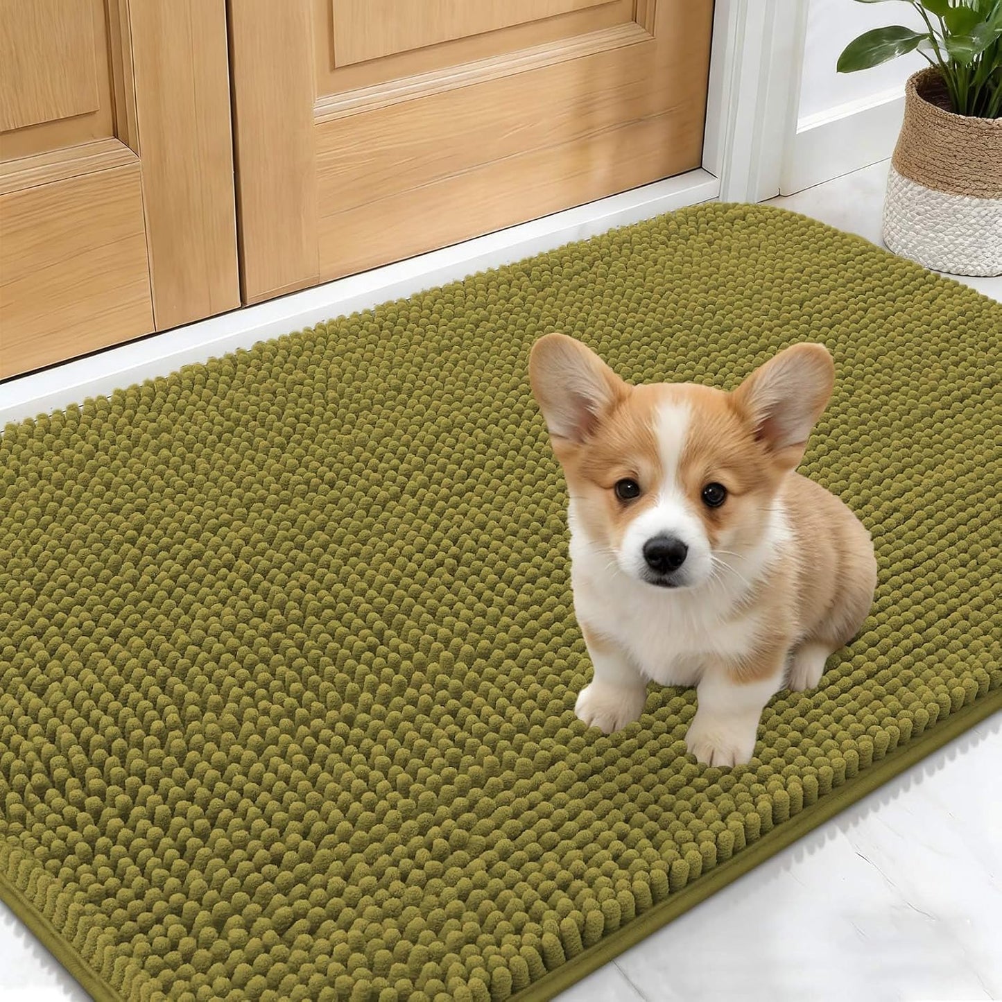 OLANLY Dog Door Mat - Absorbent Non-Slip Chenille Mat for Muddy Paws | 24x16, Quick Dry, Willow Green