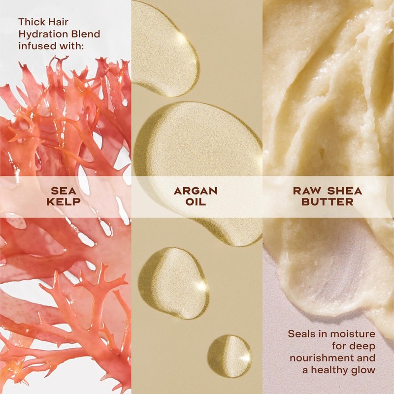 Shea Moisture Conditioner For Curly Hair Raw Shea Butter Restorative Deep Moisturizing Conditioner 13 Oz