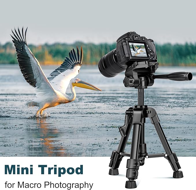 JOILCAN Mini Tripod for Camera, 25" Tabletop Camera Tripod, Portable Travel Tripod with Phone/Tablet Holder, Lightweight Aluminum Tripods for DSLR Phone Spotting Scope