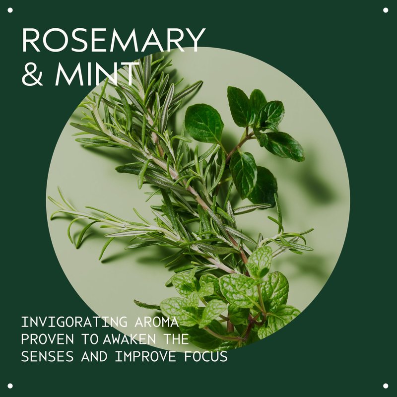 Aveda Rosemary Mint Weightless Conditioner | Lightweight Daily Conditioner | Adds Body & Shine| For Normal to Oily Hair, Fine to Medium Hair | Invigorating Aroma | 97% Naturally Derived*, 8.5 Fl Oz