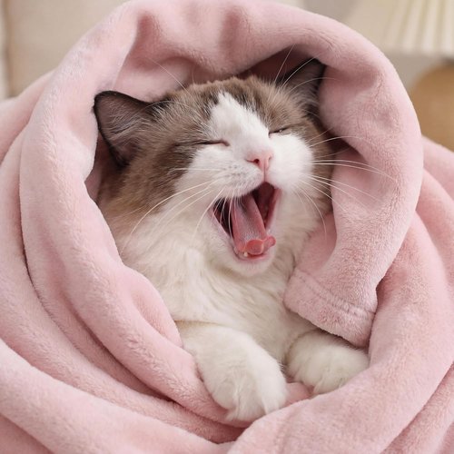 Bedsure GentleSoft Pink Fleece Blanket - Soft, Lightweight Plush Queen Size Microfiber, 90x90 Inches