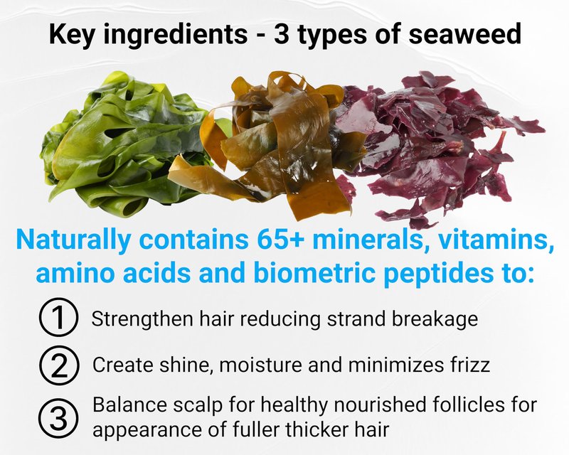 Saltie Hydrating Shampoo - Deep Moisture - Repairs and Bonds Dry Damage - Adds Shine - Reduces Frizz -No Sulfates, Parabens, Gluten, and Phthalates - No Artificial Color