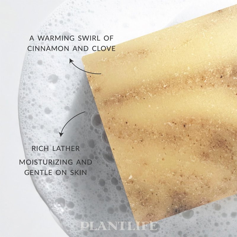 Plantlife Cassia Clove 6-pack Bar Soap - Moisturizing and Soothing Soap for Your Skin - Hand Crafted Using Plant-Based Ingredients - Made in California 4oz Bar