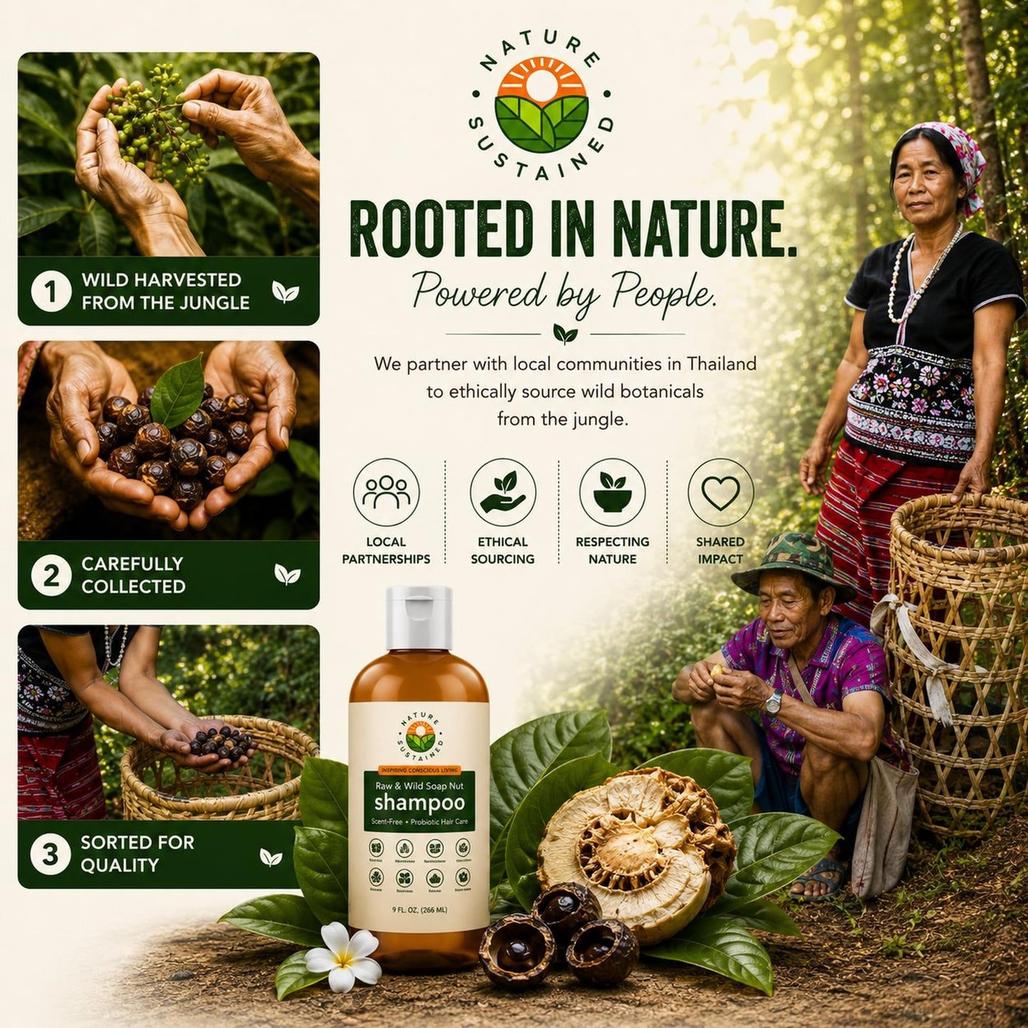 Nature Sustained Natural Shampoo - Organic, Raw & Wildcrafted with Probiotics, Hypoallergenic Natural & Sulfate Free Shampoo for Sensitive Scalp, Dry Hair, Dandruff, Eczema & Psoriasis, 9oz, Original