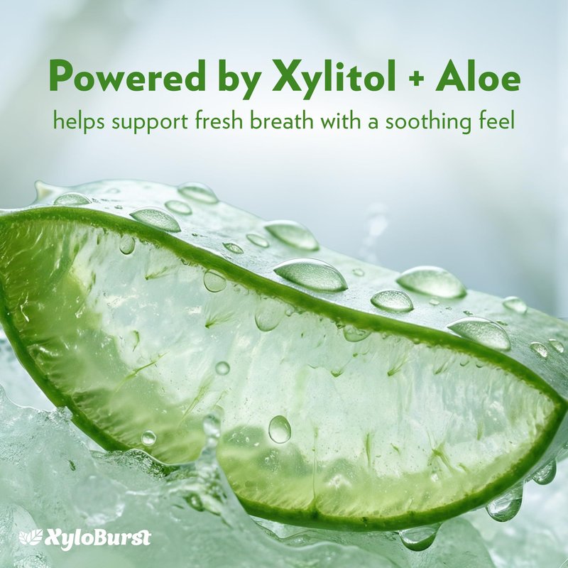 Xyloburst Xylitol Mouthwash, Natural Oral Rinse - Alcohol-Free & Fluoride-Free Mouth Wash, Non Toxic Xylitol Rinse for Fresh Breath, Fresh Mint Flavor, SLS Free, Sugar Free, 3-Pack