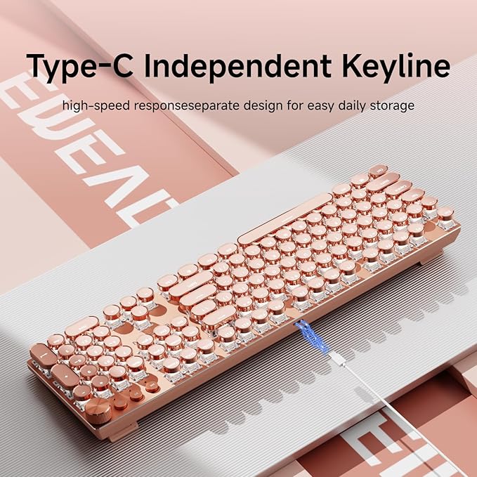 SEUNKWANG EWEADN Wired Typewriter Mechanical Keyboard, Low Noise Pink Switch Retro Punk Keyboard with Media Knob, White Backlit, Metal Panel, 104-Key Round Keycaps Cute Keyboard for Windows PC- Pink