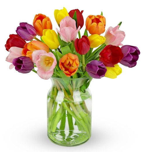 Benchmark Bouquets - Rainbow Tulips - Fresh Flowers Delivery for Mother's Day | 20 Stems with Glass Vase