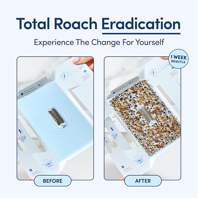 Shieldeck Roach Traps Indoor (12 Pack) â Non-Toxic Sticky Glue Traps for Roaches, Spiders & Crickets â Safe Roach Catcher for Home, Car, Apartment & Motel Pest Control