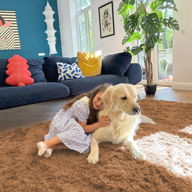 OLANLY Area Rugs for Living Room Bedroom, Machine Washable 4x5.9 ft Soft Fluffy Shaggy Bedside Rug, Indoor Floor Carpet for Kids Girls and Boys, Dorms, Nursery Rooms, Home Decor Aesthetic, Khaki