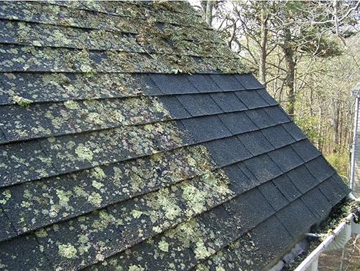Wash Safeâ¢ ROOF WASH Eco-Safe and Organic Roof Cleaner, 3 lb. | Clear, Bleach-Free Concentrate | Clean Up to 3,000 sq. ft. of Asphalt, Wood, Slate and Ceramic Shingles or Tiles