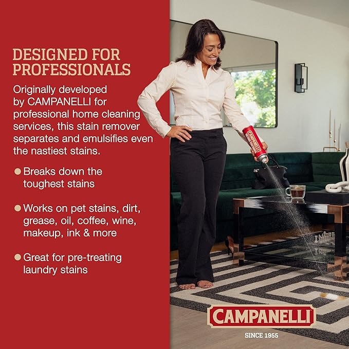 Campanelli Pro Series Stain Remover Point & Spray Carpet & Upholstery Cleaner for Pet Stains & Odors, Food Stains, Wine, Coffee, Dirt and More! â 18oz Aerosol