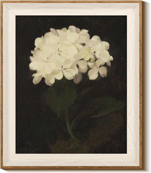 InSimSea Framed Canvas Wall Art - Vintage White Flower Oil Painting for Home Decor | 10x12 Inches