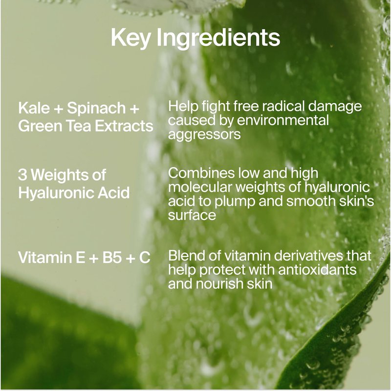 Youth To The People Superfood Air-Whip Moisture Cream Full Size - Kale + Green Tea Hyaluronic Acid Face Moisturizer, Smooths + Hydrates Up to 48HR with Dewy Glow, Non-Greasy Lightweight Gel - 2 fl oz
