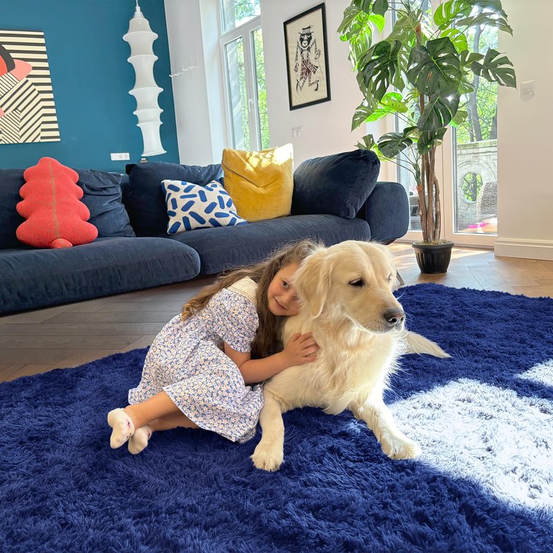 OLANLY 4x4 Machine Washable Accent Rug, Soft Fluffy Shaggy Area Rug for Bedroom, Living Room, Indoor Floor Carpet for Kids, Nursery, Home Decor, Navy Blue