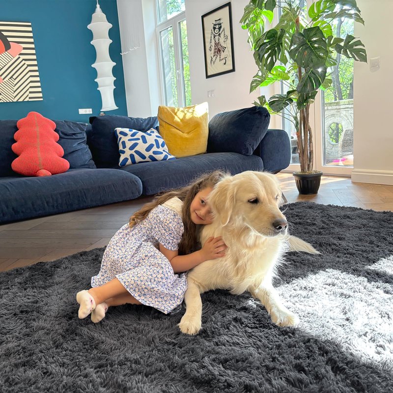 OLANLY 4x10 Area Rugs for Living Room Bedroom, Machine Washable Soft Fluffy Shaggy Bedside Rug, Indoor Floor Carpet for Kids Girls and Boys, Dorms, Nursery Rooms, Home Decor Aesthetic, Grey