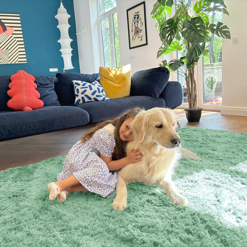 OLANLY 5x8 Machine Washable Large Area Rugs for Living Room, Bedroom, Soft Fluffy Shaggy Bedside Rug, Indoor Floor Carpet for Kids Girls and Boys, Dorms, Nursery, Home Decor Aesthetic, Mint Green
