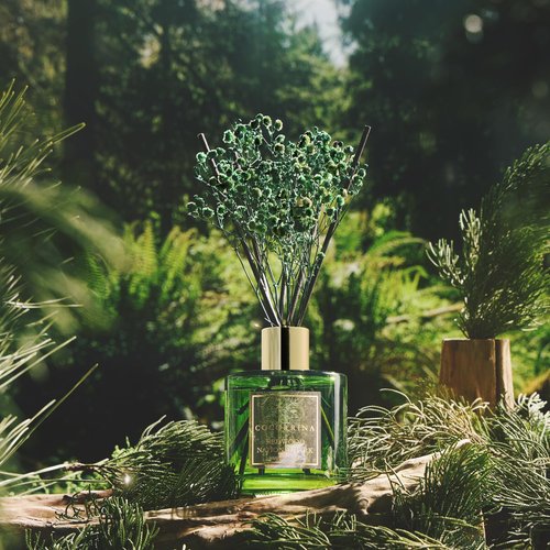 COCORRÍNA Reed Diffuser - Redwood National Park 6.7 Fl.oz Reed Diffuser Set with 8 Sticks & Preserved Baby's Breath, Reed Diffuser for Home Bathroom Shelf Decor