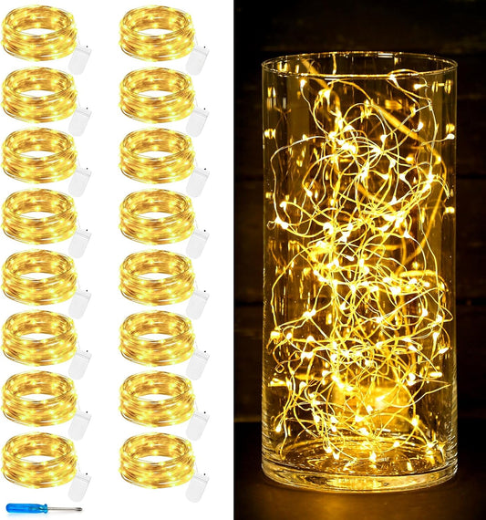 Skiennix 10 Ft 30 LED Fairy Lights - Waterproof Silver Wire Mini String Lights for DIY Crafts & Events | Warm White