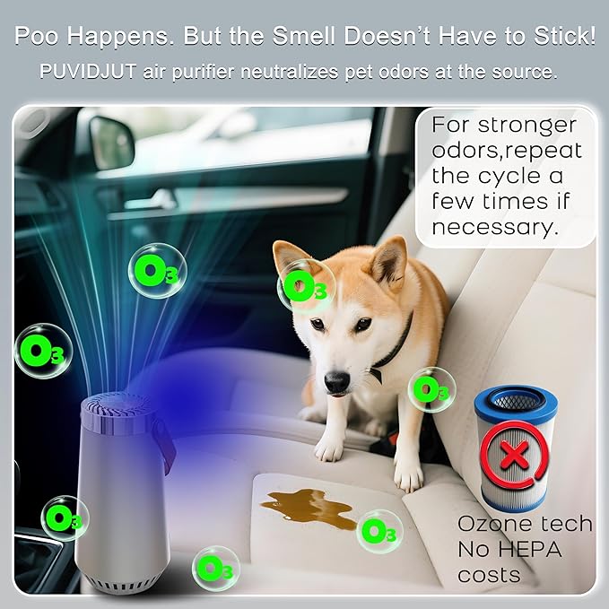 PUVIDJUT 2 in 1 Car Air Purifier-Air Ionizer Plus Ozone Machine-Clean Odor,Dust,Smoke Smell for Car,Bathroom,Bedroom