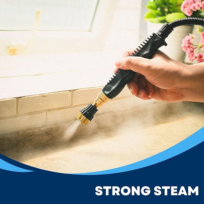 High Temperature Pressurized Steam Cleaner 2500W Handheld High Pressure Steam Cleaning Machine Portable 110V 1000ml Tank for Kitchen Toilet Car (white)