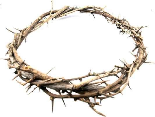 ZULUF Crown of Thorns Ornament - Authentic 7.5" Holy Land Gift Box from Bethlehem | Passion of Christ