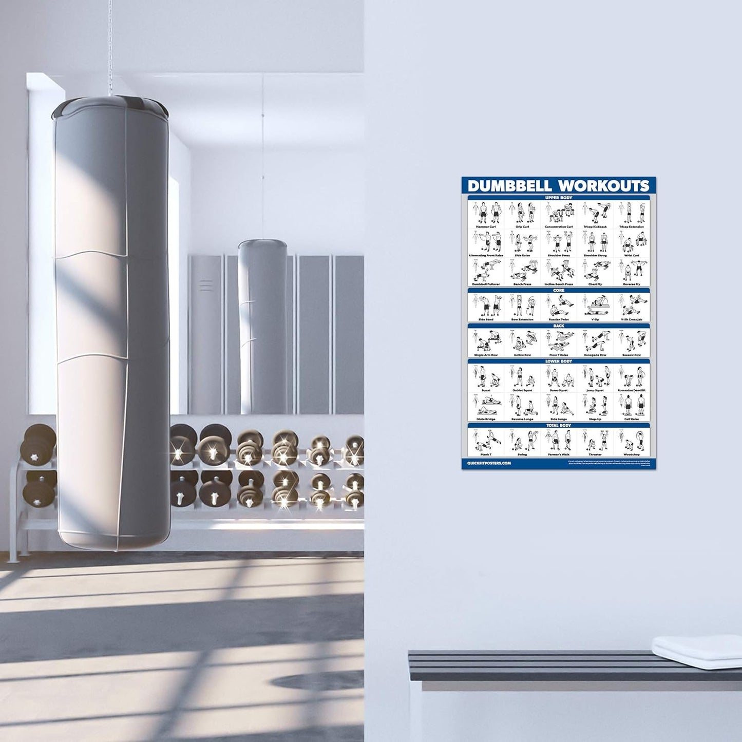 Palace Learning Dumbbell Workout Posters - Laminated Exercise Charts (18" x 24") | 3 Pack Volumes 1-3