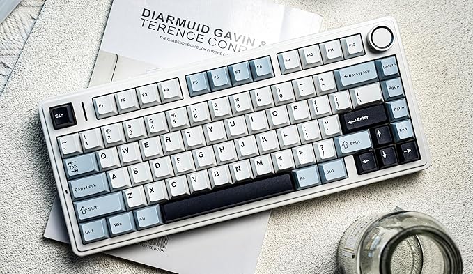EPOMAKER x Aula F75 Gasket Mechanical Keyboard, 75% Wireless Hot Swappable Gaming Keyboard with Five-Layer Padding&Knob, BT/2.4GHz/USB-C, RGB (Light Blue, LEOBOG Reaper Switch)