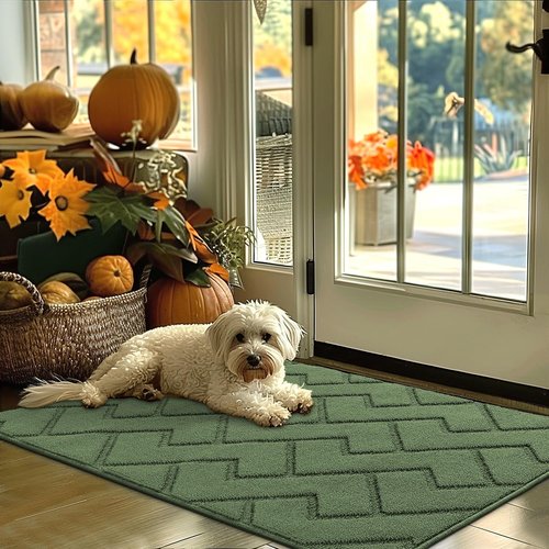Hicorfe Indoor Door Mat - Non-Slip Absorbent Entrance Mat with Rubber Backing | 32"x48" - Green